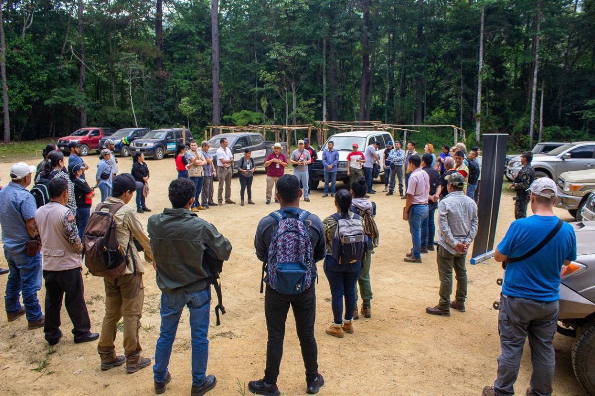 A raíz de su importancia, a mediados de este año, Honduras fue sede del Noveno Simposio Mundial de Magnolia: “Ciencia, Conservación y Cultura”. La Universidad Nacional de Ciencias Forestales (Unacifor) y la Universidad de Guadalajara de México desarrollaron el IX Simposio Mundial de Magnolias, Honduras 2023, que se realizó desde el 29 de mayo al 3 de junio.