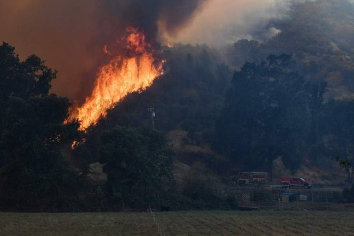 El agua 'está siendo desviada hacia el océano Pacífico. ¡También debemos despejar la zona de árboles para detener la propagación del fuego!', subrayó el mandatario desatando todo tipo de críticas y burlas.