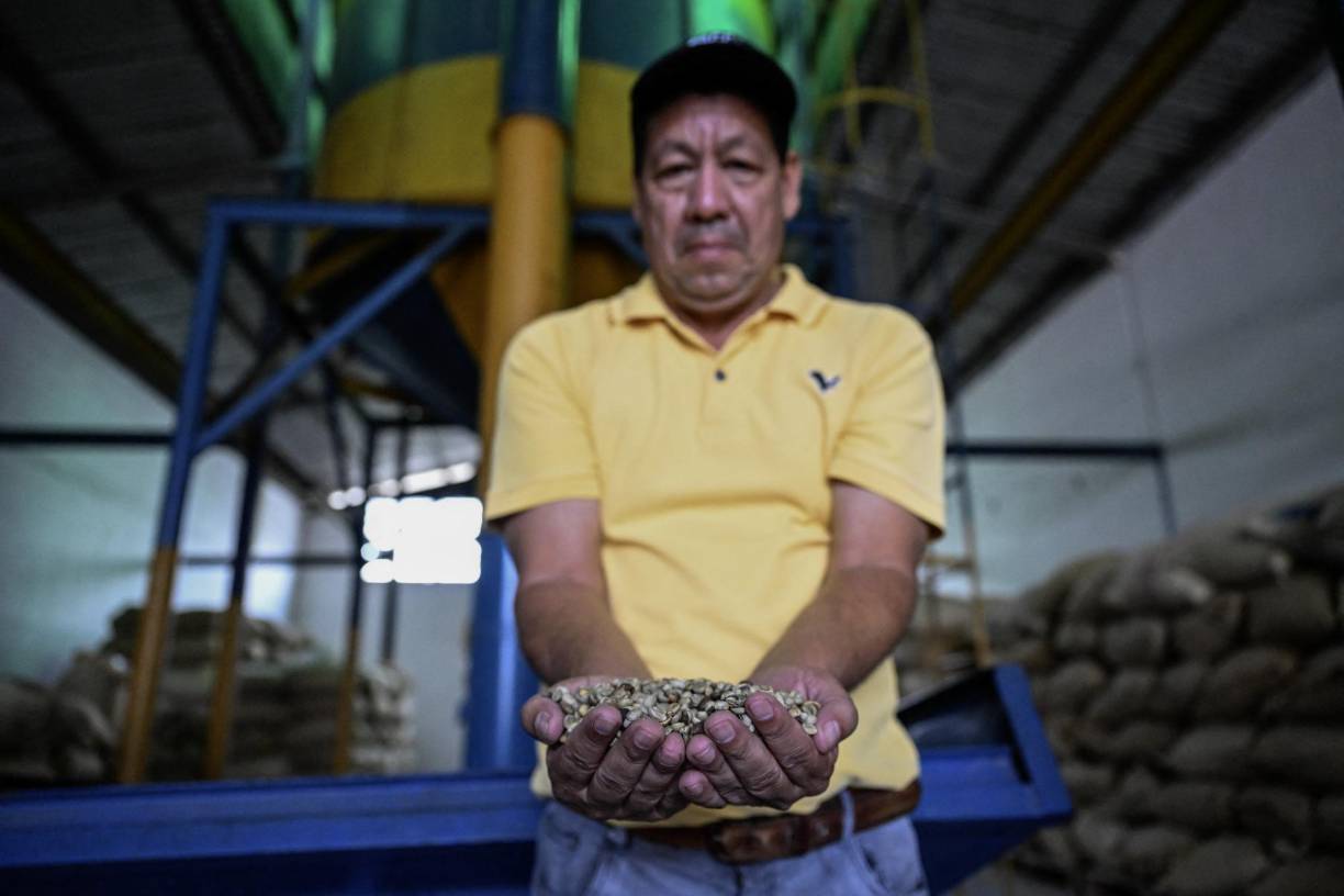 La familia Hernández, por ejemplo, no tiene gasoil para la máquina que seca el café, o gasolina para transportarlo al pueblo. No hay suficiente fertilizante y los caficultores se quejan del precio que paga el gobierno por su producto.