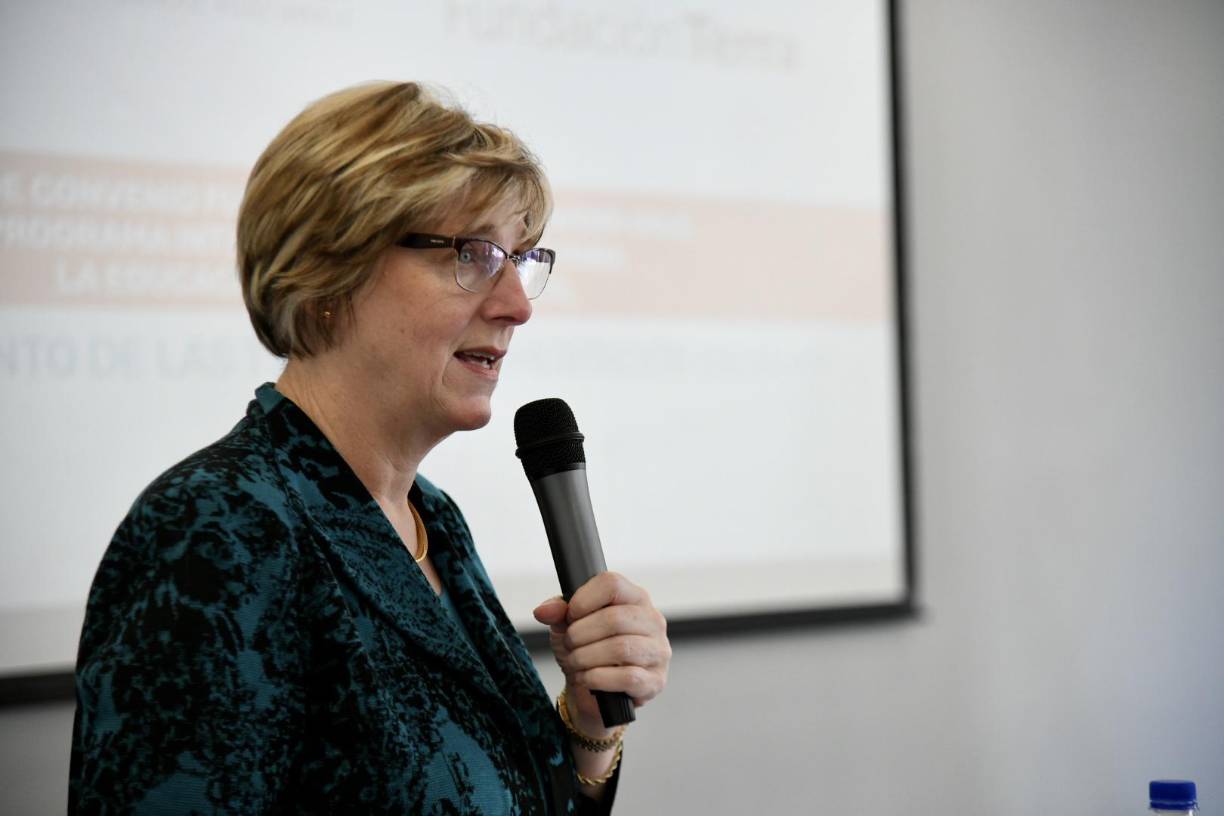 El canciller Enrique Reina rechazó la opinión de Dogu y la citó a una nueva reunión para dirimir el tema de manera puntual. 