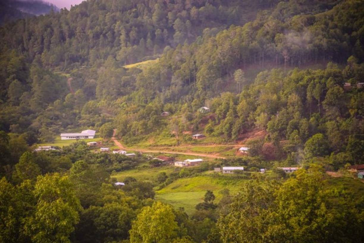 La Montaña de la Flor es un sitio hermoso con muchas necesidades. Hay tolupanes que viven en la miseria y claman por ayuda que les cambie la vida.
