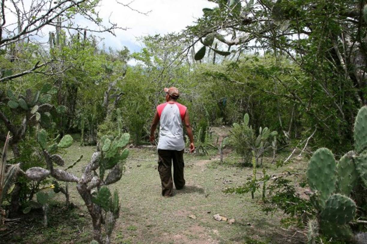 El bosque seco es un sitio inigualable.