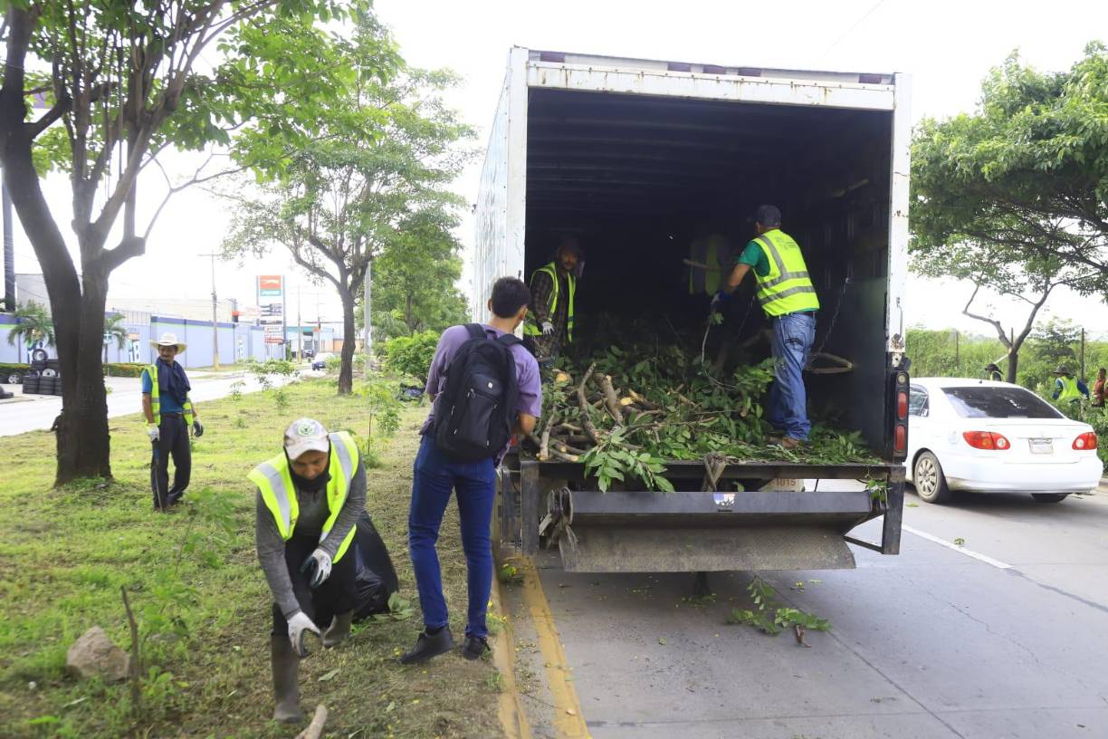 La campaña de <b>arborización y reforestación</b> se realiza en el marco del <b>60 aniversario</b> de <b>LA PRENSA</b>.