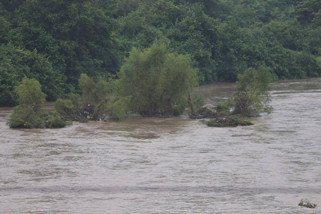 Autoridades locales están en alerta ante cualquier desbordamiento que implique la evacuación de personas que habitan zonas aledañas al río. 