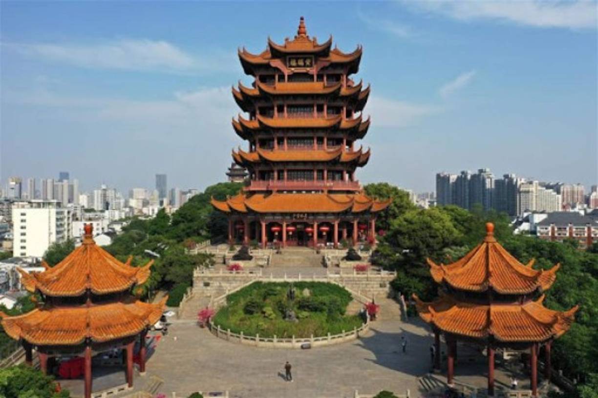 Sus denuncias han causado que la universidad donde trabajaba en Hong Kong borrase su sitio web y haya publicado que ella ya no es parte del equipo de investigación. Derrick Rossi, uno de los fundadores de Moderna, también atizó contra China en los últimos días y dijo que no creía en que el virus haya sido un accidente; cuestionó que China lo propagó accidentalmente y mintió diciendo que se originó en los mercados de Wuhan.