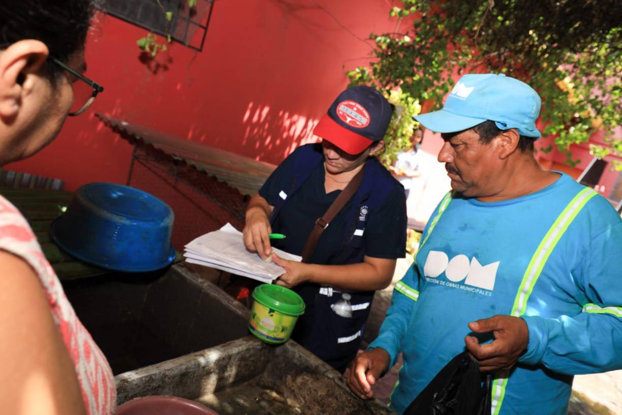 Alabí apuntó que estas jornadas incluyen la fumigación, abatizar -aplicar una sustancia química o un larvicida en recipientes de agua-, y educación con un enfoque de destrucción de criaderos de zancudo e identificación y búsqueda de casos.