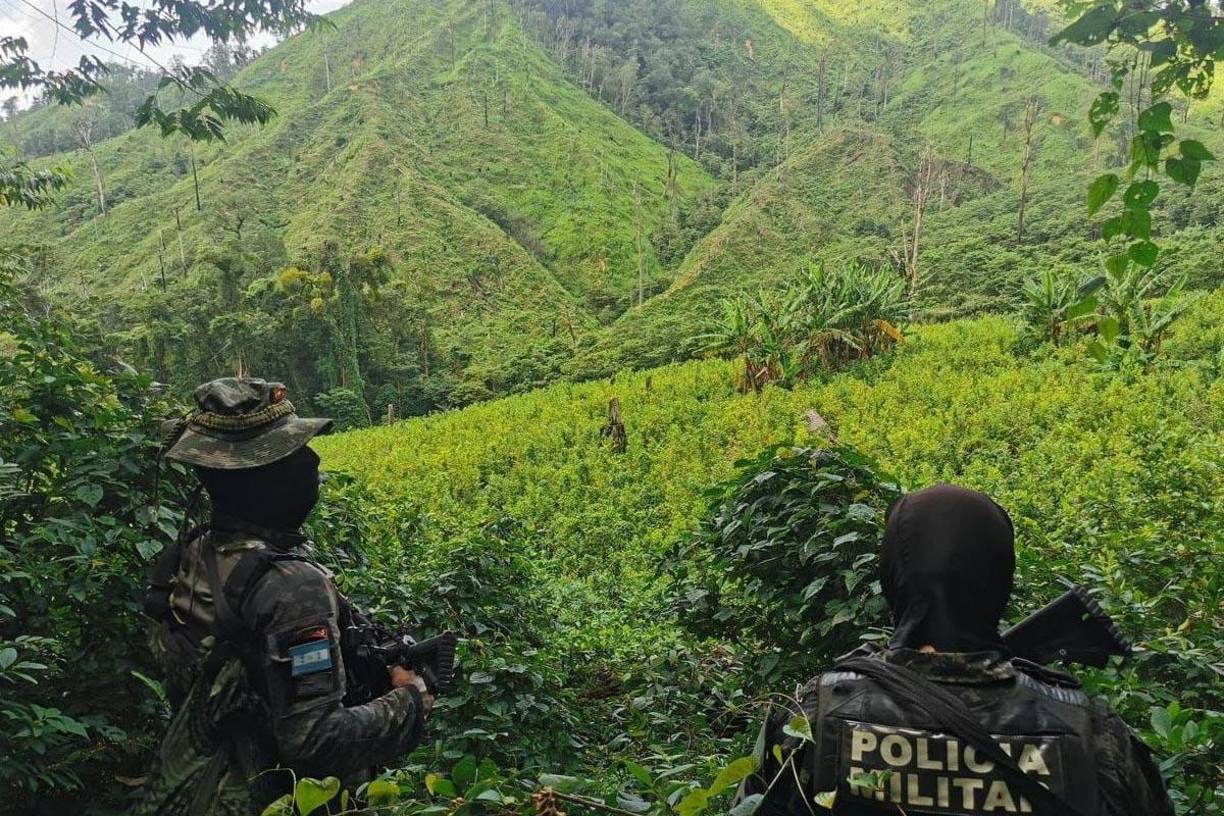 En el sitio también fue hallada “una edificación austera de madera”, donde al parecer era ocultado un laboratorio para procesar pasta de cocaína, según la escueta información oficial.