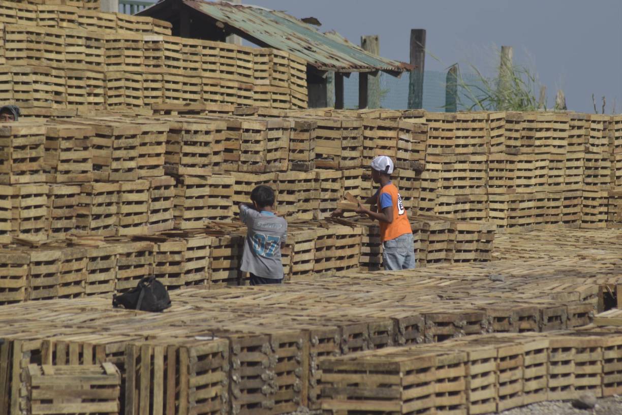 Los niños ayudan mayormente en colocar el producto terminado, y en la elaboración de la mezcla de concreto que llevan las nasas. 