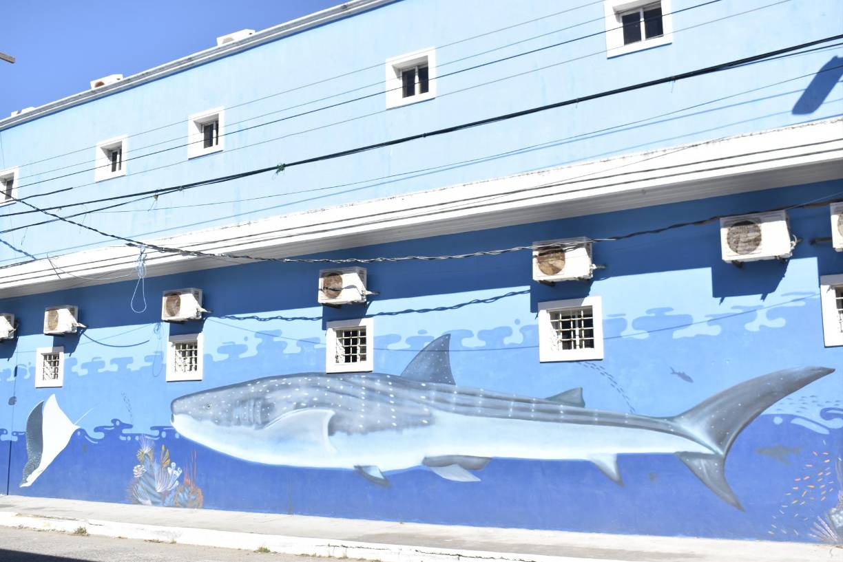 El mar y la vida marina también adornan las fachadas de los edificios de La Ceiba, que aprecian los transeuntes locales y turistas. 