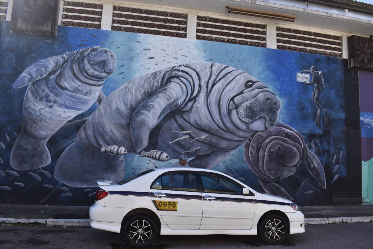 Los manatís animales marinos que se aprecian en esta región del país, también forman parte de los atractivos murales en la ciudad. 