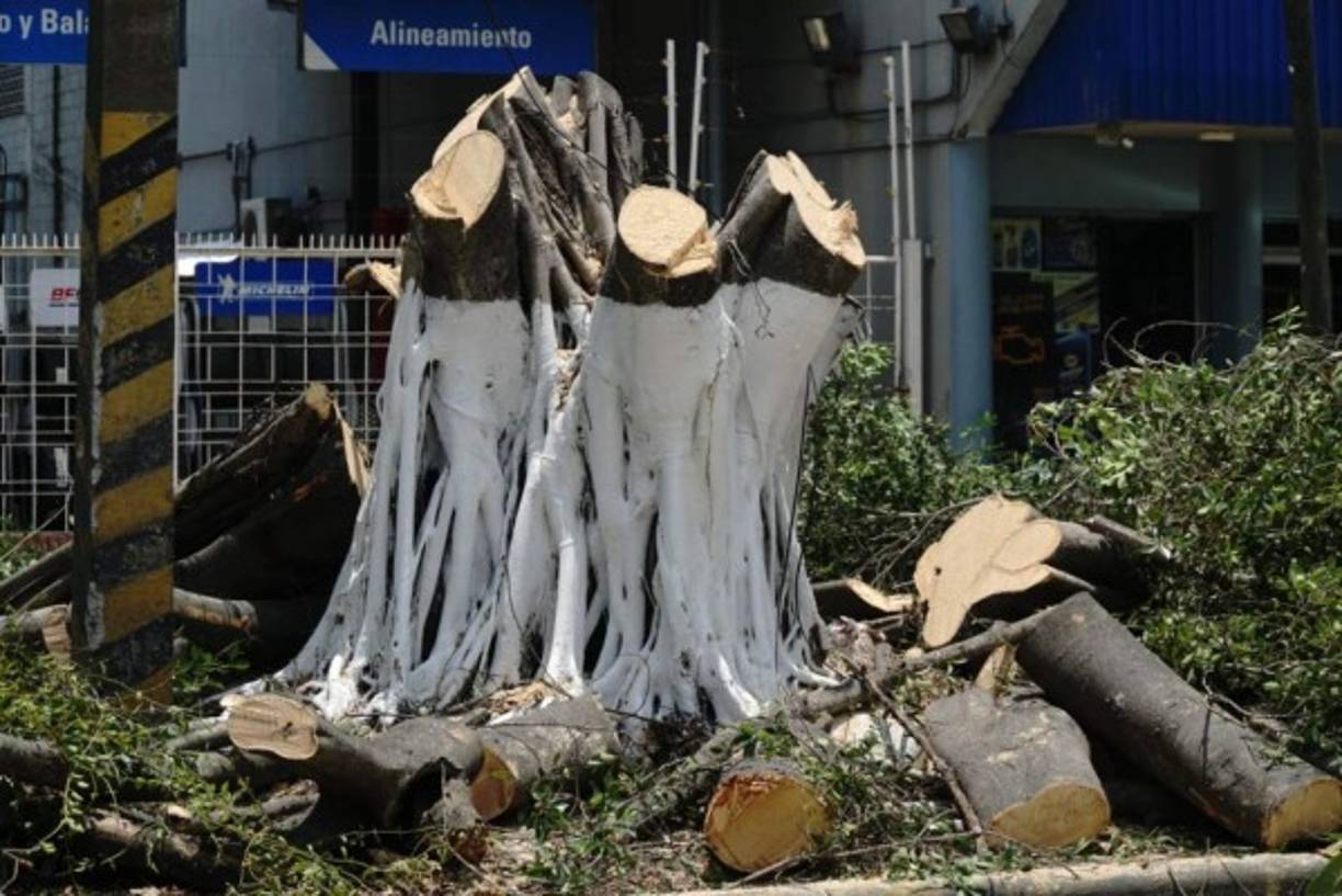 Debido a una petición de la Policía Nacional por los constantes asaltos que se suscitan en el bulevar de Cervecería Honduras y Circunvalación.<br/>