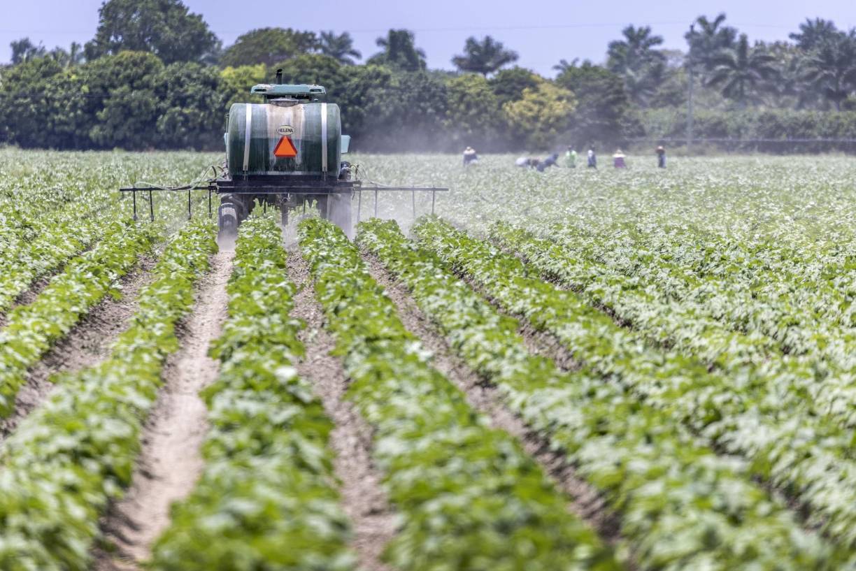 La incertidumbre creada por el cambio legal ya tiene consecuencias en los lugares de trabajo, a pesar de que aún no ha entrado en vigor y de que no obliga a denunciar la presencia de extranjeros en situación irregular. 