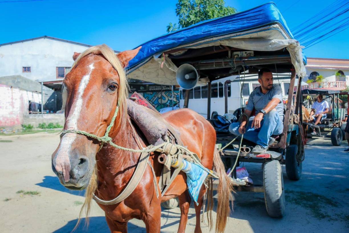 “Esta semana iniciamos censo de carretas que circulan en la ciudad”, publicó el edil en una publicación en redes sociales, la cual acompañó con varias fotografías con propietarios de estos carros de dos ruedas. 
