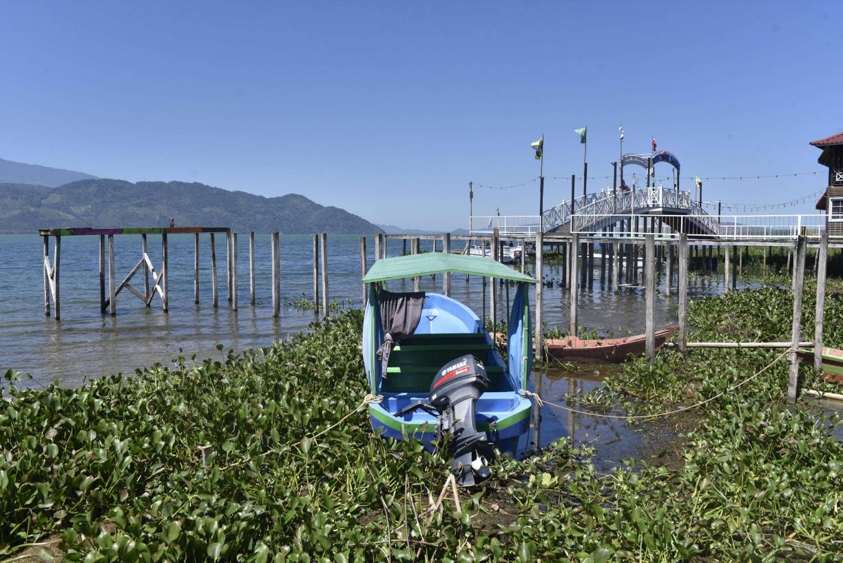 “La presidenta nunca nos atendió y al ministro lo vimos hasta el miércoles, pero dijo que no era negociable”, lamentó.Ellos esperan que “las medidas para rescatar el Lago se apliquen de forma pareja y se aborde el exceso de nutrientes en el espejo del agua, provocado por la producción de tilapia en cantidades industriales”.