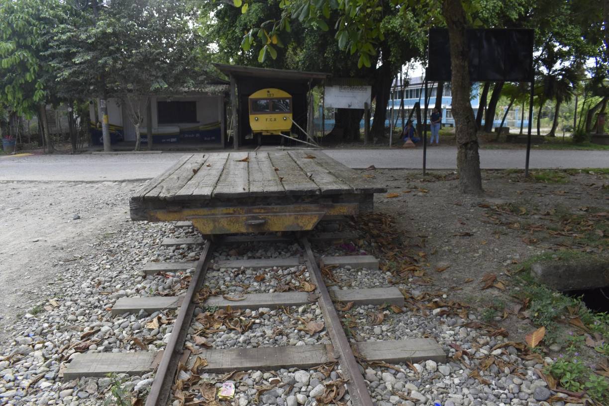 Unas seis “burras” existen en este corredor, que es co-manejado por la Fundación Cuero y Salado.