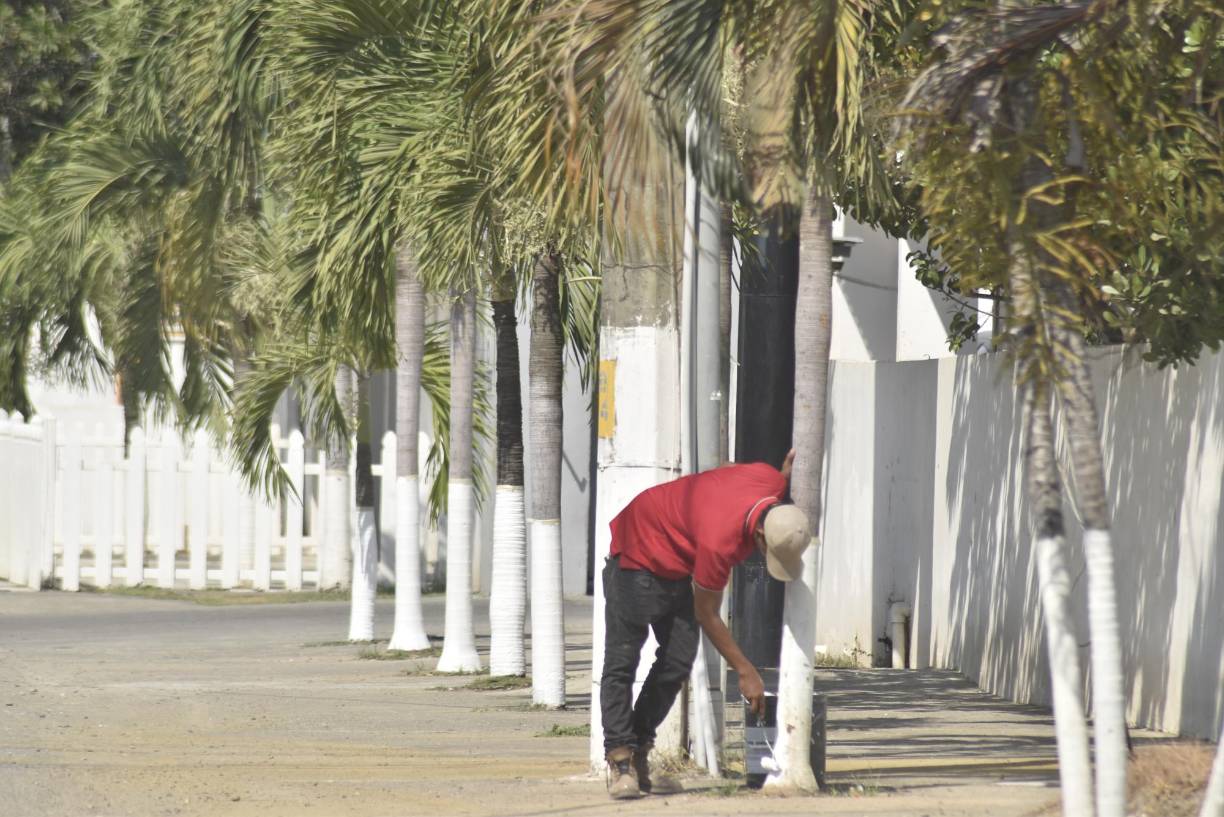 En la zona viva de La Ceiba, algunos hoteles, bares y discos están dando una imagen alegre y renovada a sus áreas verdes.