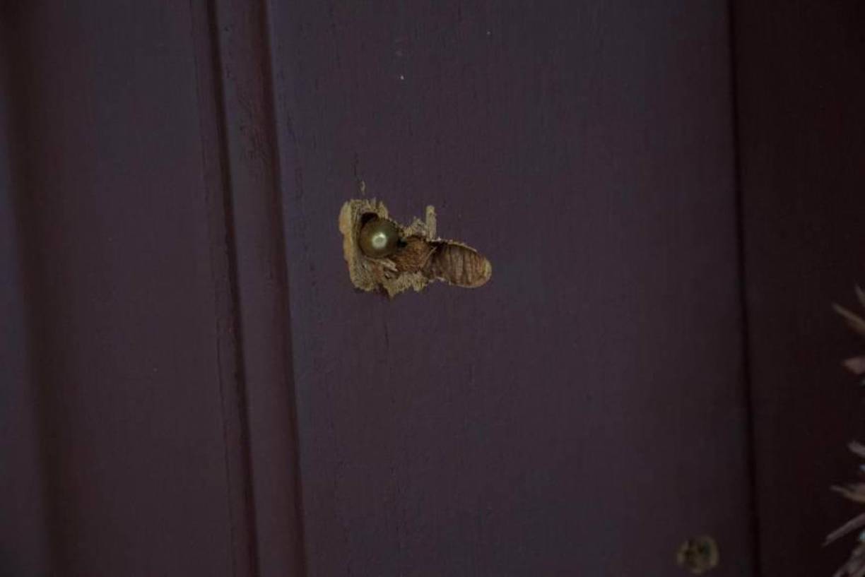 Imágenes difundidas en redes sociales muestran orificios de bala en varias paredes de la casa.