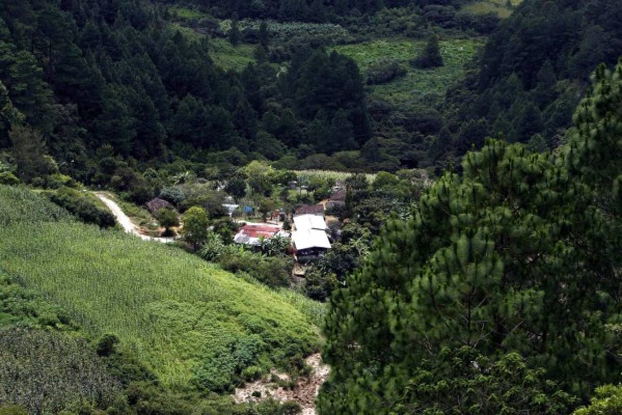 El bosque de La Tigra es uno de los lugares más encantadores para los turistas.