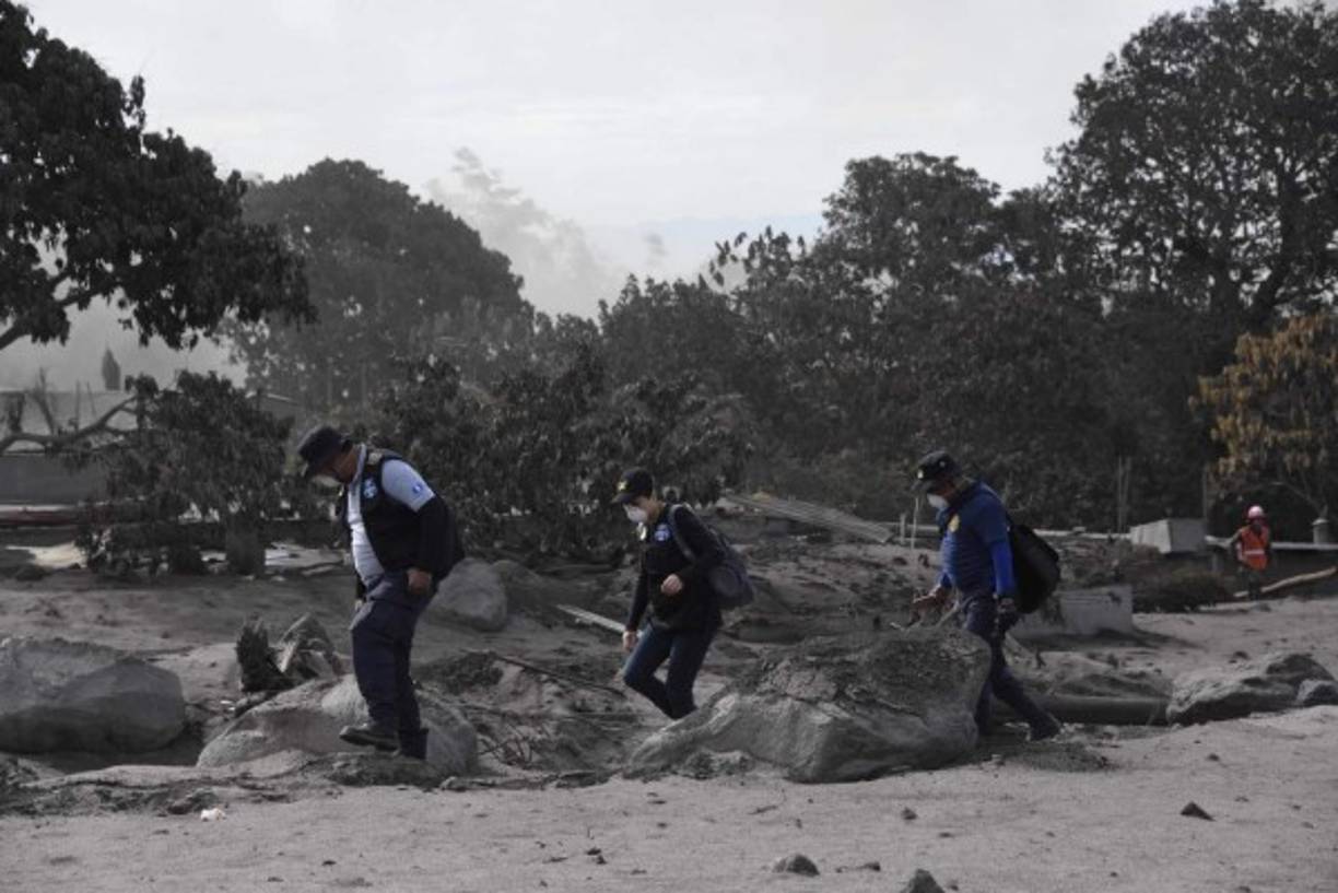 Las brigadas de rescate también han encontrado aun con vida aves de corral y perros que fueron abandonados por sus dueños durante la fuga para dejar atrás a la muerte.