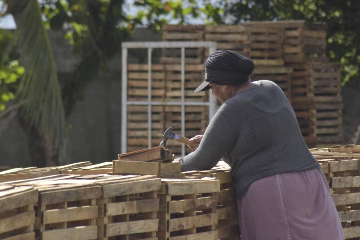 El martillo y los clavos están siempre en las manos de estas arriesgadas mujeres misquitas que durante el día se dedican a construir las nasas, para llevar el sustento a sus hogares. 