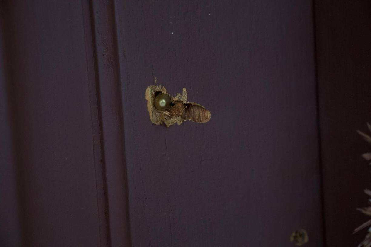 De momento se desconoce la identidad del pistolero.