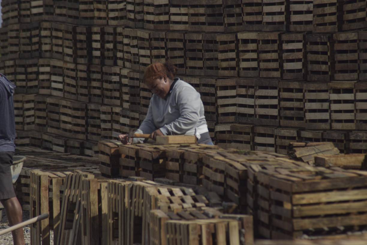 Las mujeres en su mayoría son madres solteras de escasos recursos económicos, que vieron en un taller cercano a sus hogares, una oportunidad para ganarse la vida. 