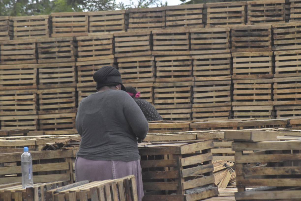 No importa si hay sol o lluvia, las trabajadoras de las naseras siempre están en sus puestos de trabajo, ya que ganan por cada nasa que construyan. 