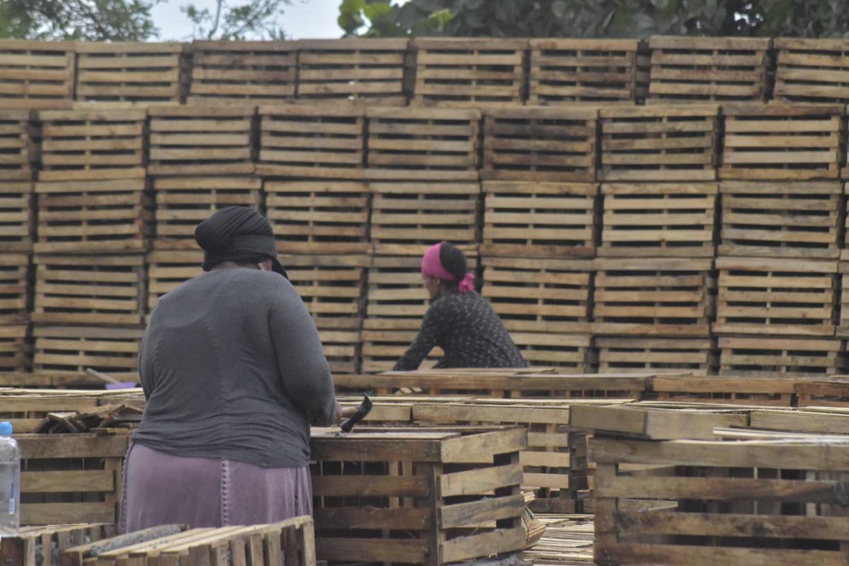 Diez mujeres curtidas por el sol trabajan varias horas al día en la elaboración de nasas. El trabajo no es muy costoso, aunque tuvieron una capacitación para poder ingresar al oficio. 
