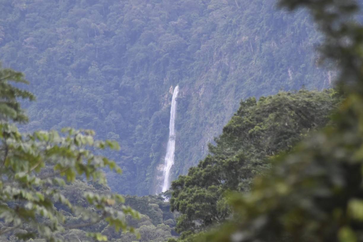 Hay una belleza desbordante que la misma naturaleza hace brotar de sus entrañas. Esto hace más contagiosa y placentera la estadía en el Cangrejal.