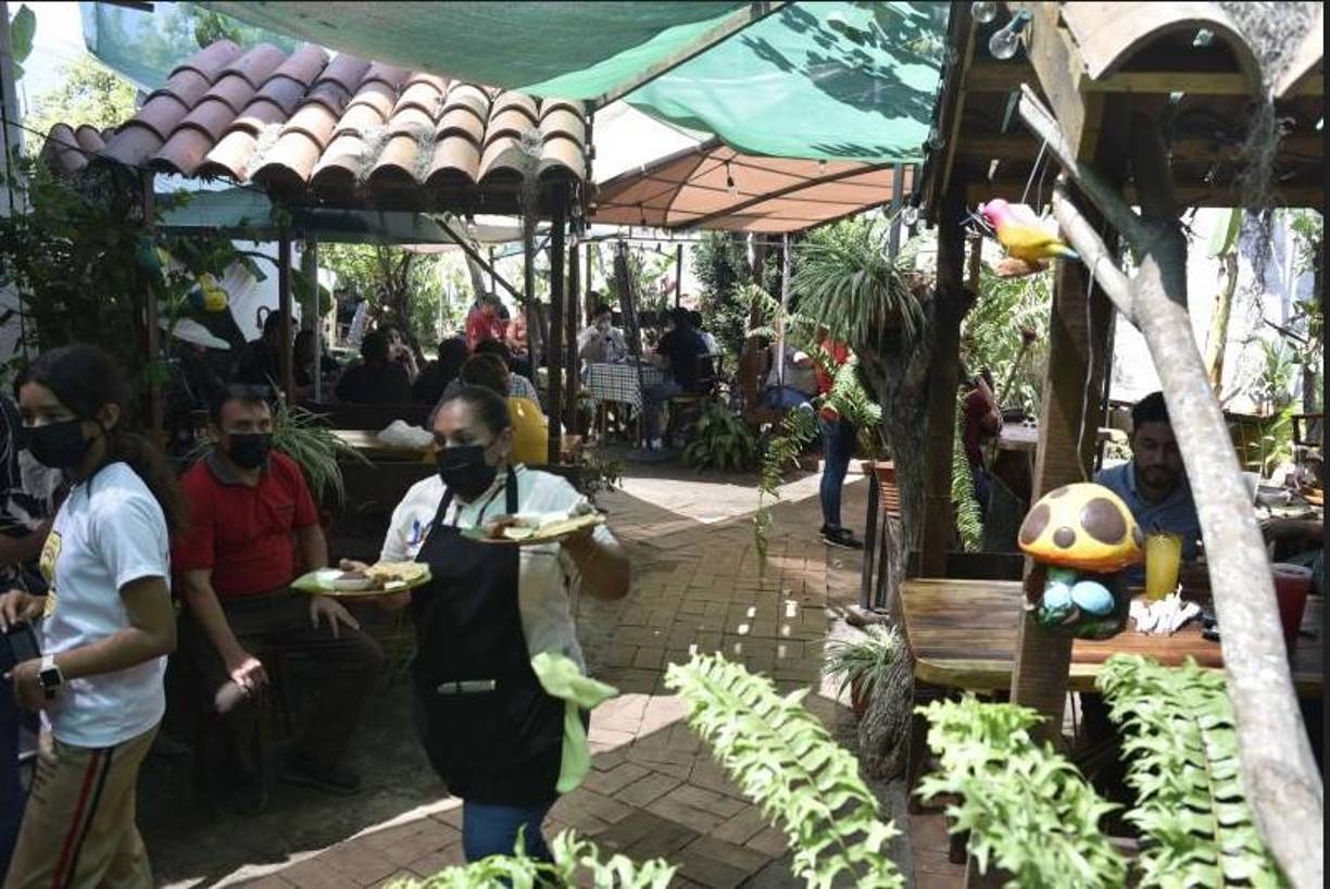 Las instalaciones estuvieron llenas.