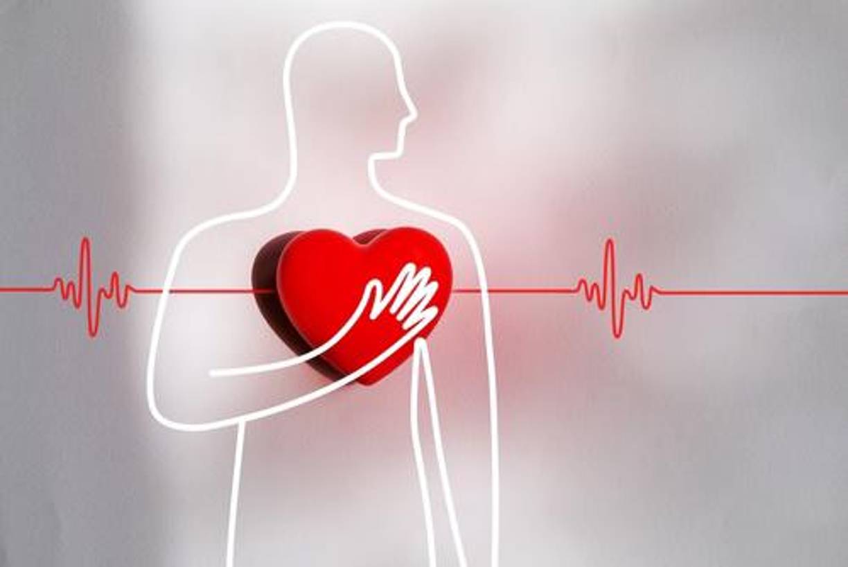 Las ciruelas pasas también son beneficiosas para la salud cardiovascular. Contienen antioxidantes como los polifenoles y flavonoides, que ayudan a reducir la inflamación y el daño oxidativo en las arterias1. Además, la fibra soluble presente en las ciruelas pasas puede ayudar a reducir los niveles de colesterol en la sangre.