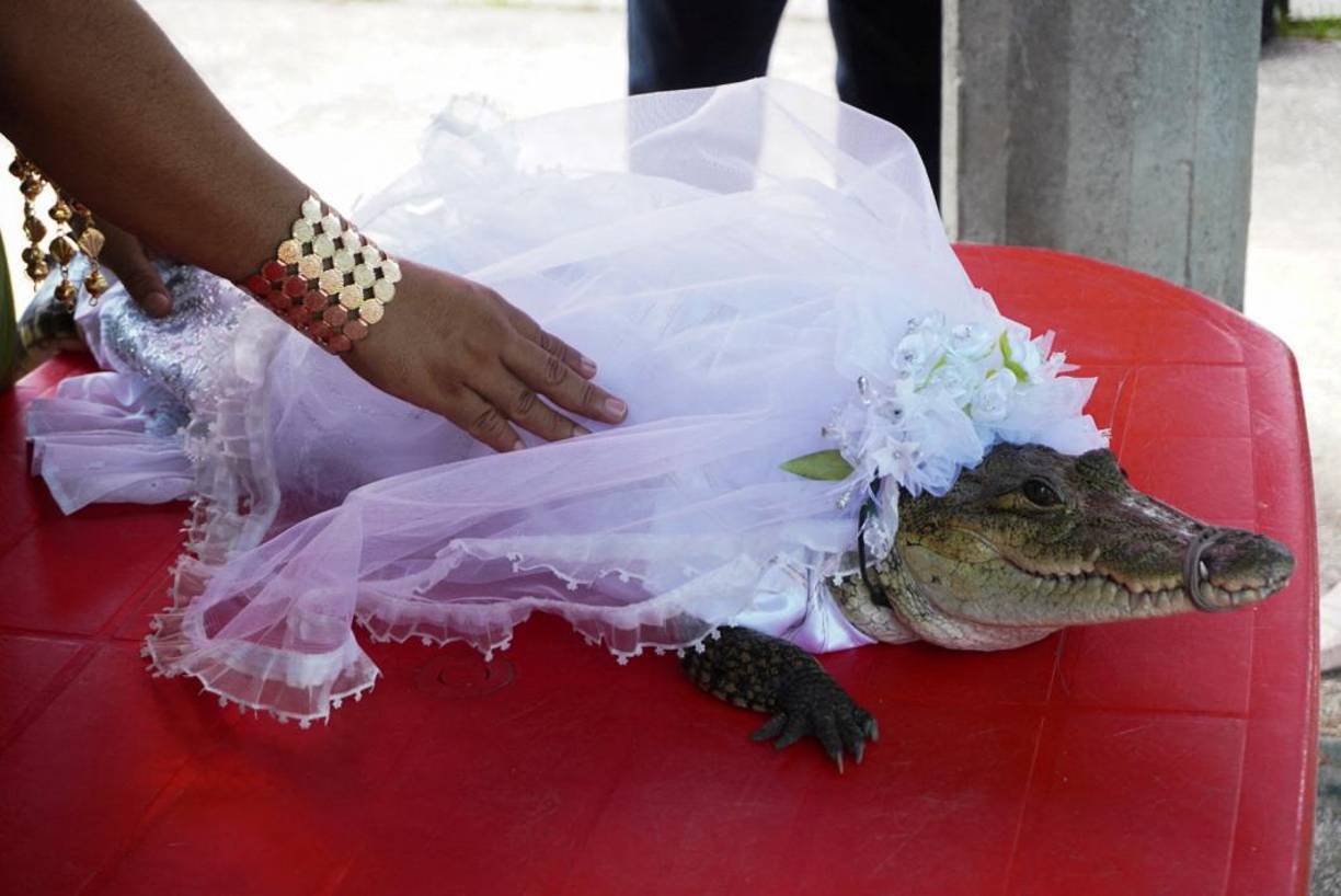 Cabe recordar que no es la primera vez que llevan a cabo ese tipo de ritual, pues en <b>2021 </b>y <b>2022 </b>también se realizó esa tradición. La princesa lagarto previamente es <b>bautizada </b>y <b>llevada a visitar las casas </b>de algunos grupos dancísticos del municipio.
