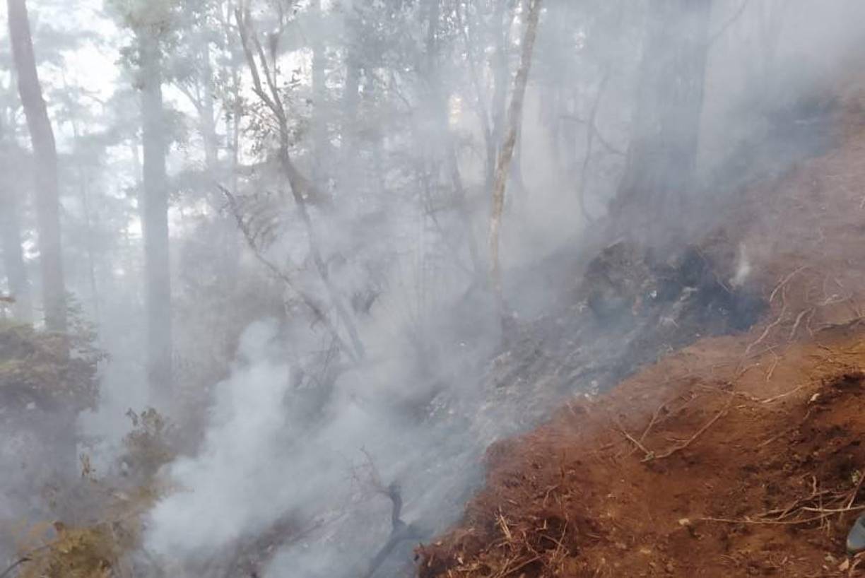 El Parque Nacional Cusuco es una de las áreas protegidas más importantes de Honduras. 
