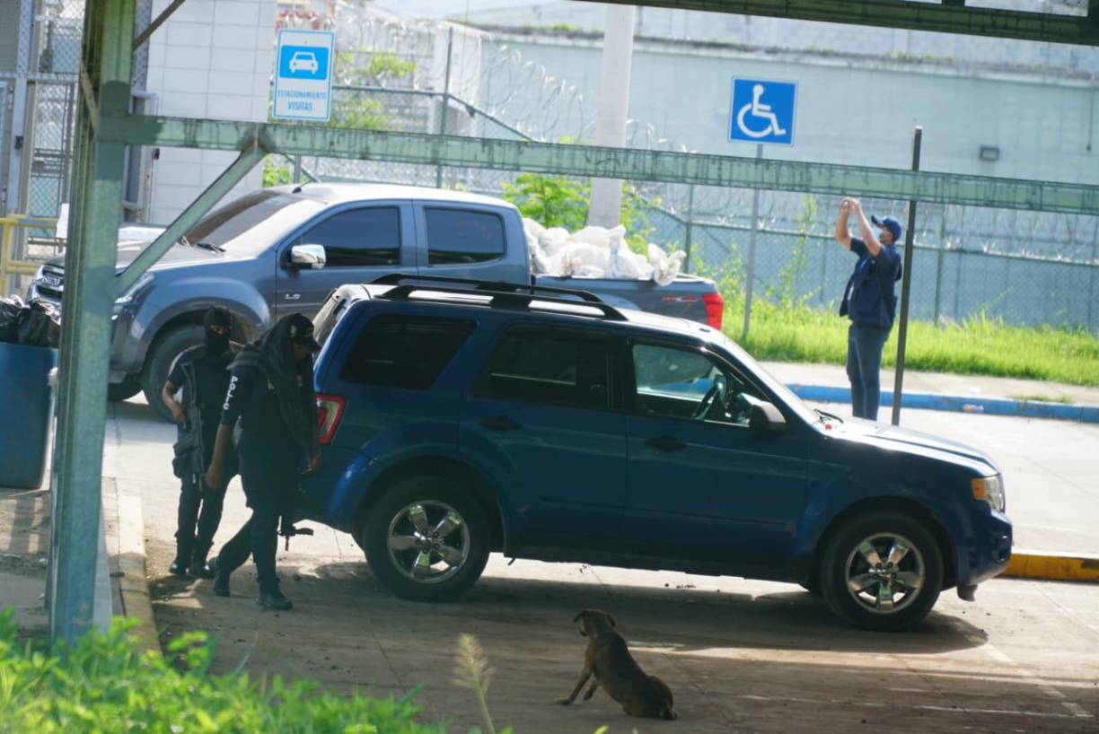 No se escucharon detonaciones de bala por lo que en un principio presumían que los habían estrangulado, lo cual fue confirmado cuando las autoridades competentes realizaron el levantamiento de los cuerpos que también presentaban golpes.