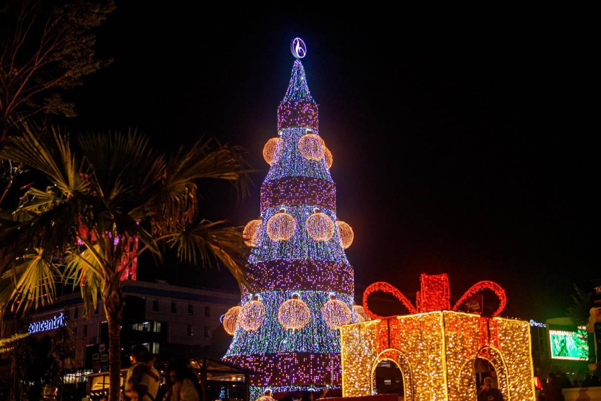 Las imágenes del árbol navideño de San Martín se han viralizado en redes sociales.