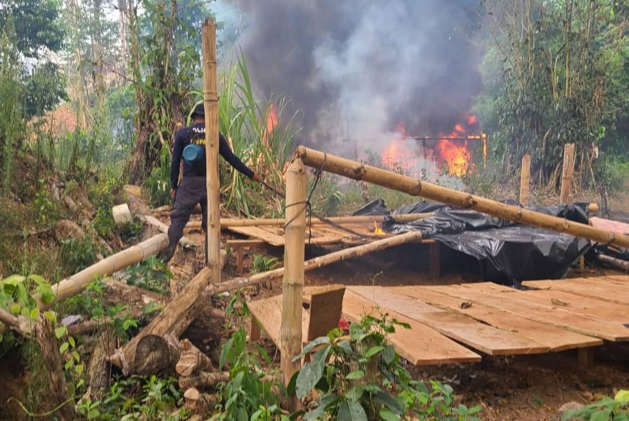 En detalle, se logró la erradicación e incineración de 1,080,000 arbustos de hoja de coca y 2,000,000 de plántulas en vivero, constató la DNPA. 