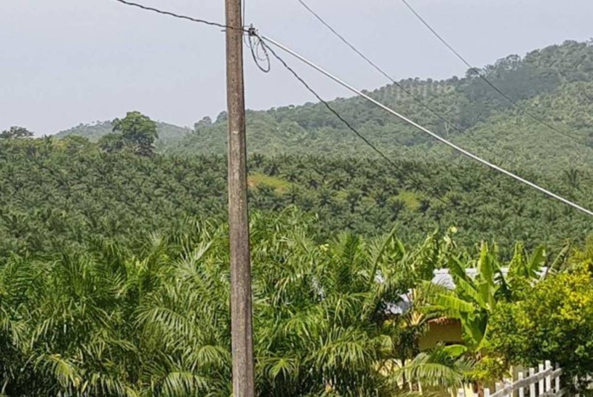 Los sospechosos poseen grandes extensiones de tierra en los departamentos de Atlántida y Yoro, las cuales utilizan para realizar actividades ilícitas.
