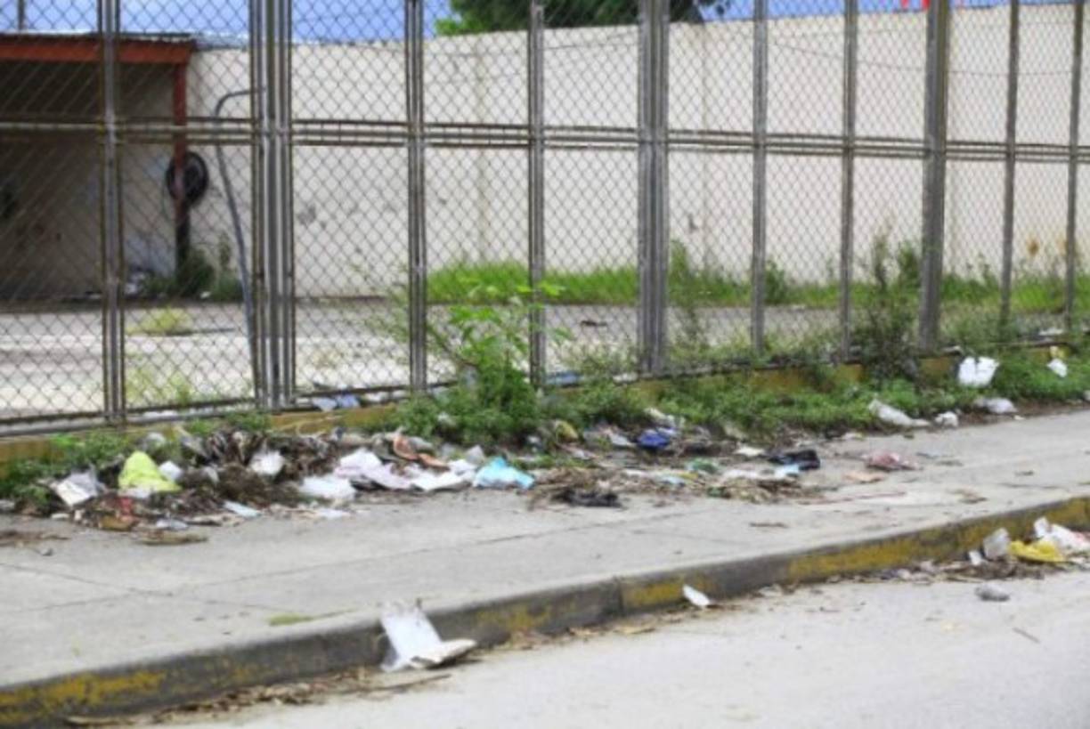 Además de los Sectores Blvd Las Torres Satelite, Sector Satelite-Aguazul, Sector Blvd del Este, Sector Carmen-Muebles Herrera, Segundo Anillo, Salida al Norte, Sector Jucutuma y otros están llenos de basura.