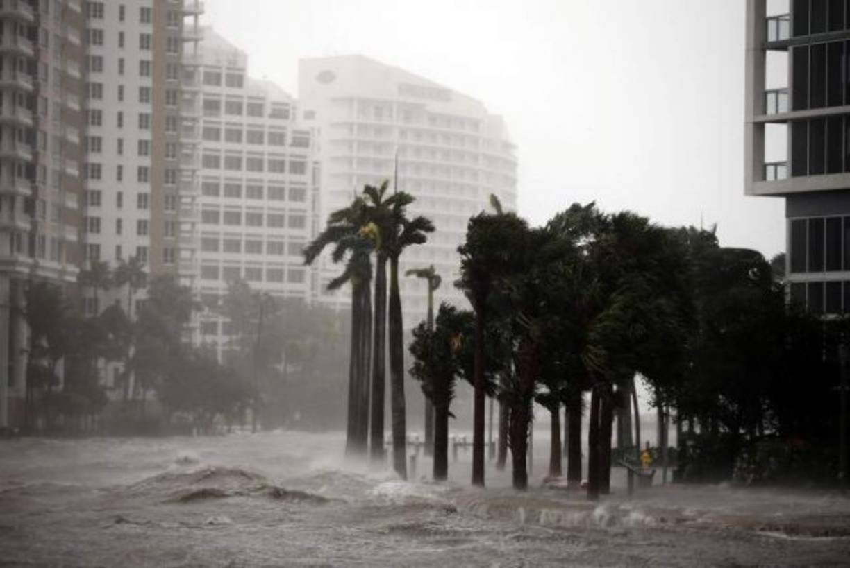 Las intensas lluvias y las poderosas rachas de viento del huracán Irma ponen a Miami en una situación caótica, con miles de personas sin electricidad, calles anegadas por las precipitaciones y la subida del nivel del mar y el colapso de árboles y una gran grúa de construcción.