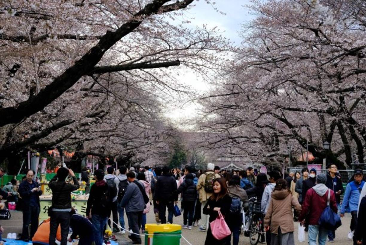 1. Japón: Los nipones no conmemoran la Pascua ya que las religiones mayoritarias en ese país son el Sintoismo y el Budismo. El sintoísmo​ se basa en la veneración de los kami o espíritus de la naturaleza.