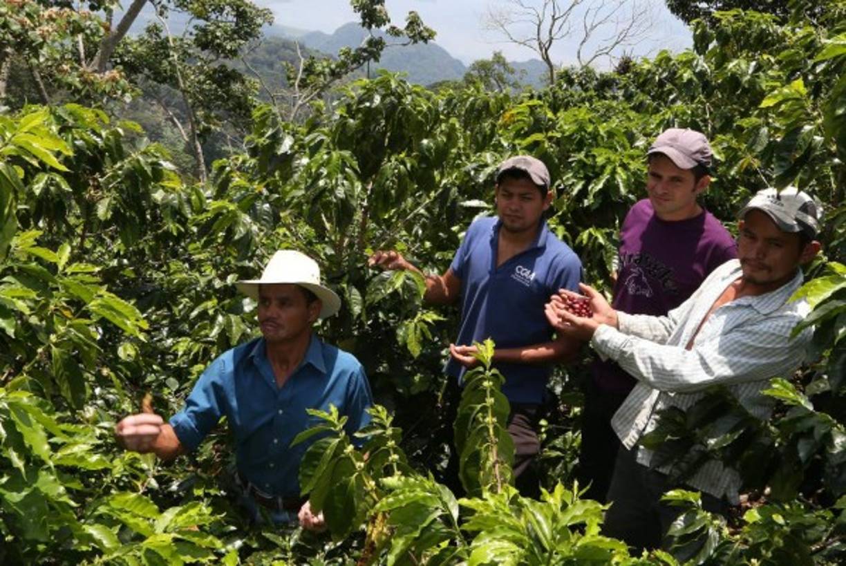 Eulogio Martínez hace un recorrido en su finca.