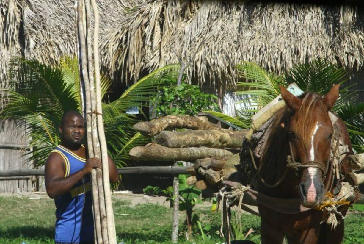 Los pobladores busca cada día la manera de sobrevivir, algunas reciben remeses de sus parientes que han emigrado en busca de una mejor calidad de vida.