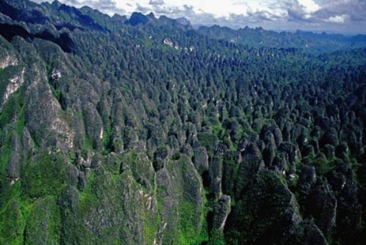 Las rocas de Indonesia se encuentran en kalimantan, isla de Borneo. El laberinto de rocas es difícil de explorar y recorrer.Foto:Taringa.