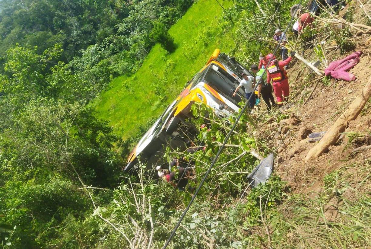 Durante la jornada, la Policía Nacional, el COEN y otras autoridades realizaron labores de rescate del accidente, que ocurrió en el kilómetro 514 de la carretera Fernando Belaunde Terry, en el distrito Jepelacio, ubicado en la provincia Moyobamba.