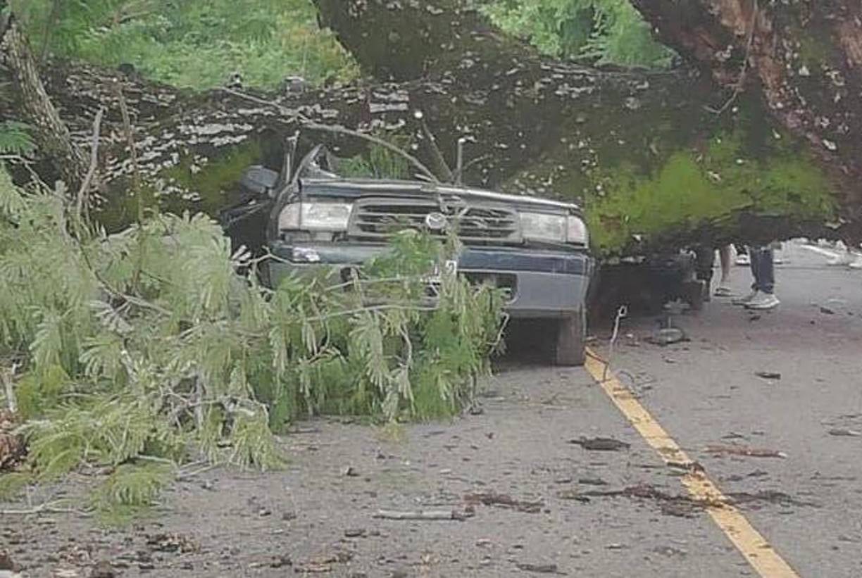Un enorme árbol se desprendió y cayó sobre vehículo en la carretera que conecta con dicho municipio del sur de Honduras. 