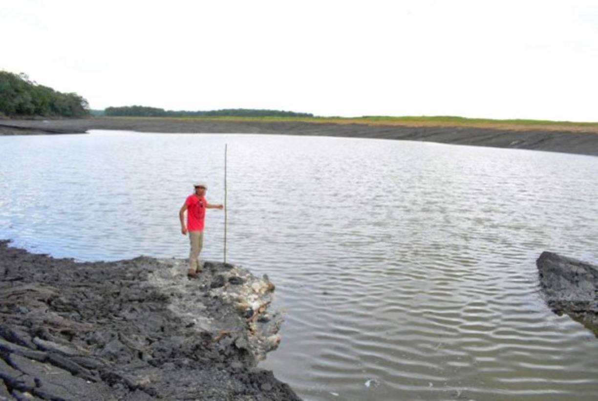 El fenómeno también produjo fisuras que derrumbaron árboles y provocó que la fauna silvestre, entre estos cocodrilos y tortugas huyeran del lugar.