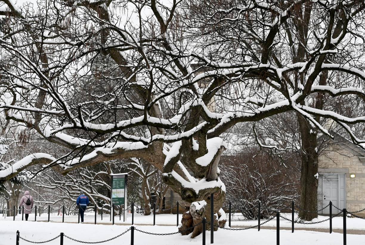 Las temperaturas gélidas y peligrosas continúan para gran parte del país. 
