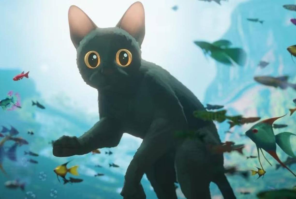 “Flow” está nominada a Mejor película de animación en los Oscars 2025, y por partida doble con otra nominación a Mejor película internacional. La historia del gato se encuentra en un mundo cubierto de agua, sin aparente rastro humano y en la búsqueda de refugio, se une a un barco con animales de otras especies. Puede verla en los cines del país desde este jueves 30 de enero. 