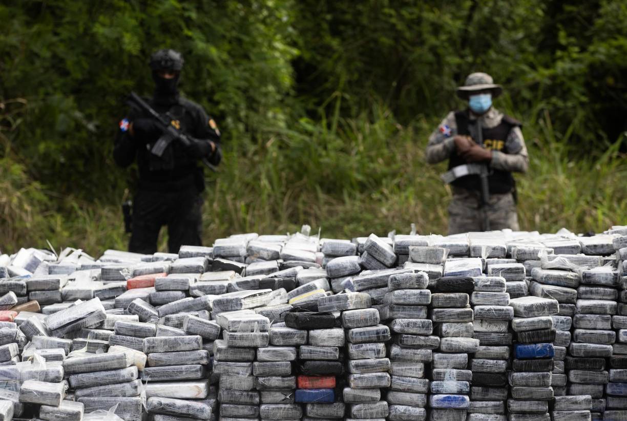 Durante la quema de la droga, también asistieron los ministros dominicanos de Salud Pública, Víctor Atallah, y de Interior y Policía, Faride Raful.