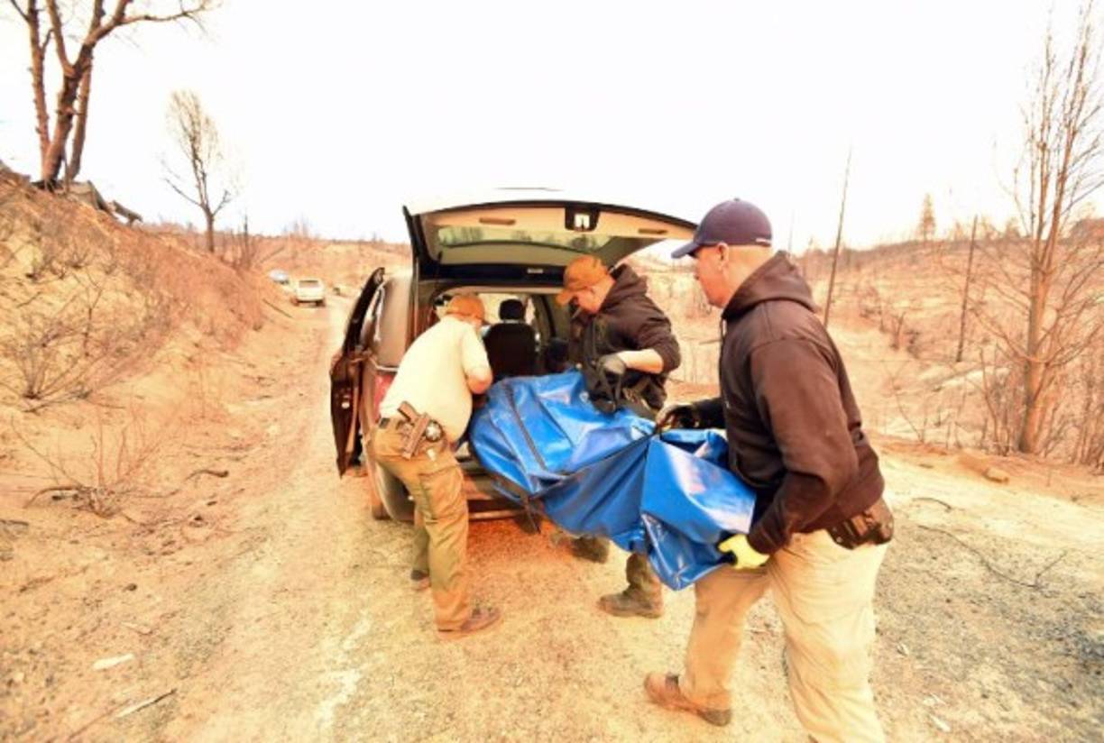 Pese a que aún no se ha establecido oficialmente la causa del incendio, los responsables del suministro eléctrico local informaron a las autoridades estatales que se produjo un corte de luz cerca del lugar donde se originó el fuego, informó el diario local Sacramento Bee.